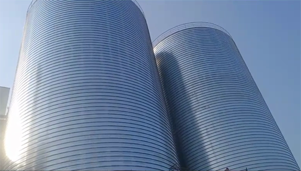 镇安2座混凝土高架卷板仓